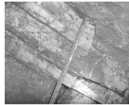 Detalle de veta mineralizada con sus estructuras y respaldos inmediatos, Batolito de Segovia, Antioquia.