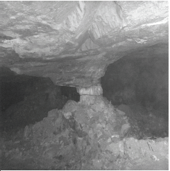 Pilar mostrando falla por control estructural, grietas axiales por esfuerzo cortante, desplazamiento de bloques, eyecci&oacute;n y meteorizaci&oacute;n. Batolito de Segovia, Antioquia.