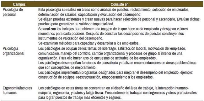 Campos principales de la psicología I/O