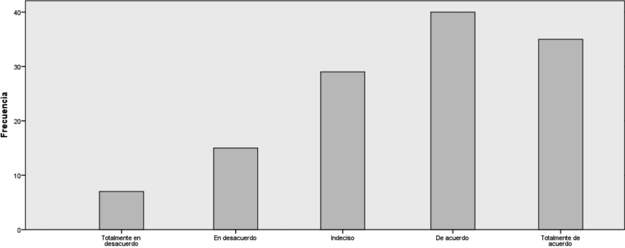 Gráfico No. 18
Artificios para evadir impuestos