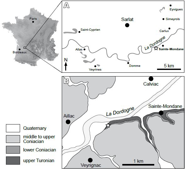 A) Geographical location and B) geological setting of the upper Turonian outcrop of Sainte-Mondane (Dordogne, Aquitaine Basin, SW France). Grey areas in (A) represent the upper Cenomanian lignite outcrops.