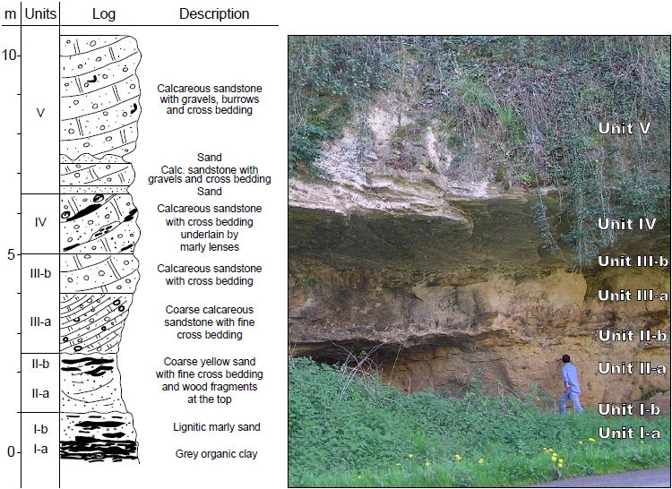 Stratigraphy of the upper Turonian Sainte-Mondane cliff section (Sainte-Mondane Formation): overall view of the outcrop with location of the five sedimentological units (I to V).