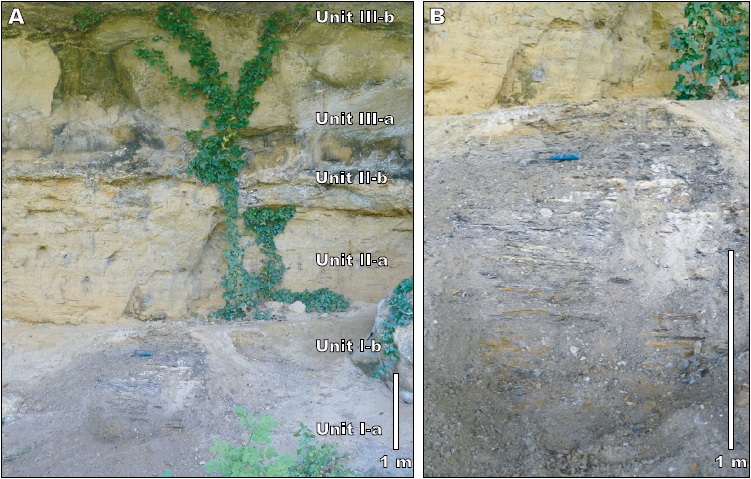 Studied portion of the upper Turonian Sainte-Mondane cliff section. A) Beds of Units I to III; the lignitic clayey facies with amber and plant remains is located in Unit I and the vertebrate and invertebrate marine remains are mainly located in the sands of Unit II. B) Lignitic beds of Unit I; note the alternation of thin sandy (white to yellow) and clayey laminations.