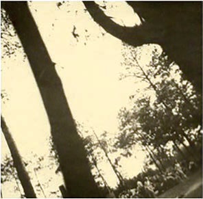 Una de las
cuatro fotografías que quedan como único registro fotográfico de Auschwitz.