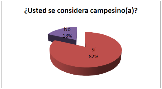 Porcentajes relativos a la percepcin identidad campesina