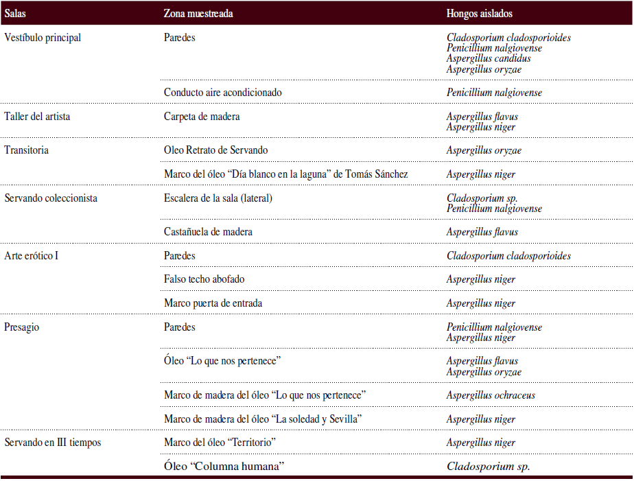 Relaci&oacute;n de hongos aislados en las
obras del Museo Servando Cabrera en Agosto 2005