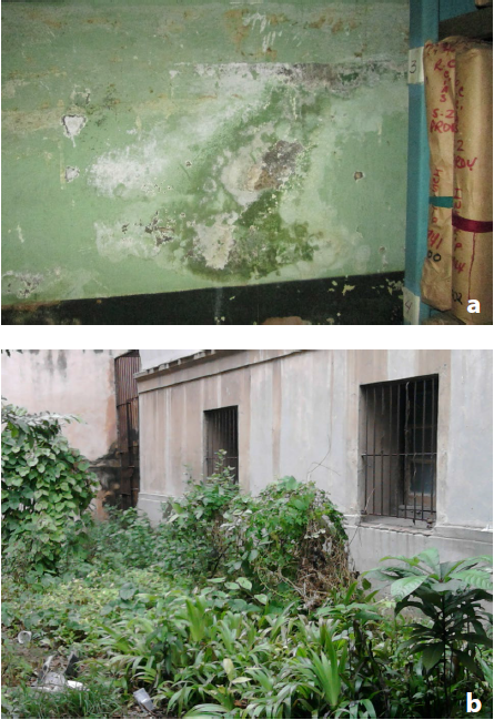 . Incidencia de la humedad externa en los depósitos
del semisótano. a) Formación de sales de calcio y desarrollo fúngico en la
pared de un depósito a consecuencia de la humedad. b) Desarrollo de la
vegetación en el exterior de los depósitos durante los primeros meses del 2011
que mantiene la humedad interior.