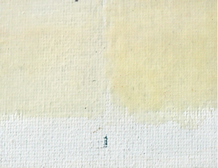 The appearance of the same sample after nine months’
storage in indirect daylight.