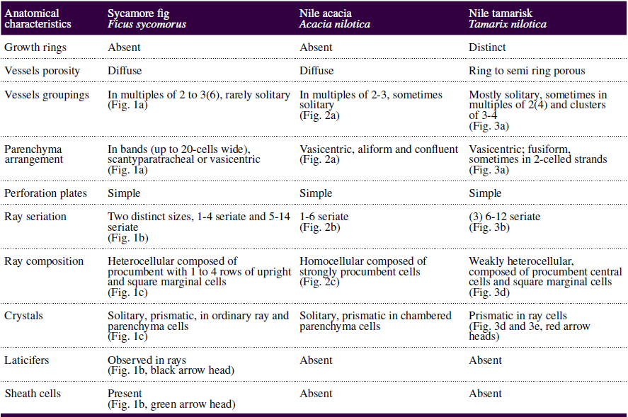 Characteristic anatomical
features of sycamore fig, Nile acacia and Nile tamarisk used in the coffin