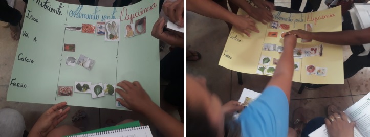 Figura 3 - Oficina Nutrientes, defici&ecirc;ncias e alimentos fonte.