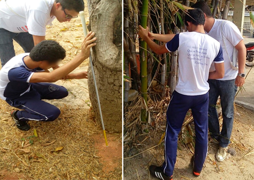 Figura 3 - Percepção dos Elementos da
Paisagem no Campus universitário - 2017