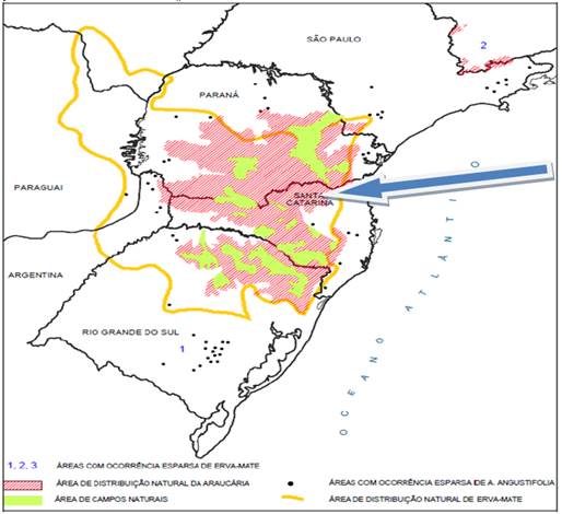 &ndash; &Aacute;reas com a presen&ccedil;a de remanescentes florestais nativos incidentes no PNC