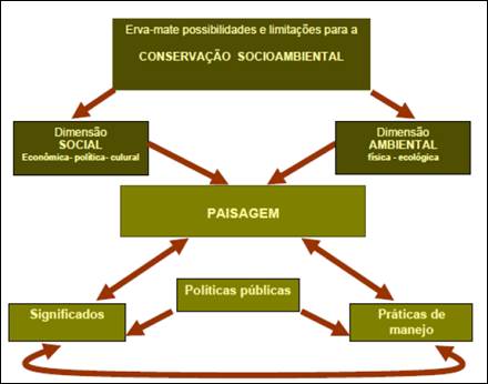&ndash; Esquema s&iacute;ntese que mostra possibilidades e limita&ccedil;&otilde;es de a&ccedil;&atilde;o com vistas &agrave; conserva&ccedil;&atilde;o socioambiental em paisagens de ervais no PNC