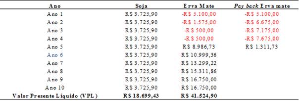 Fluxo de Caixa, c&aacute;lculo de Valor Presente L&iacute;quido (VPL) e pay back Erva Mate