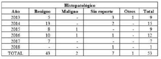 Características histopatológicas