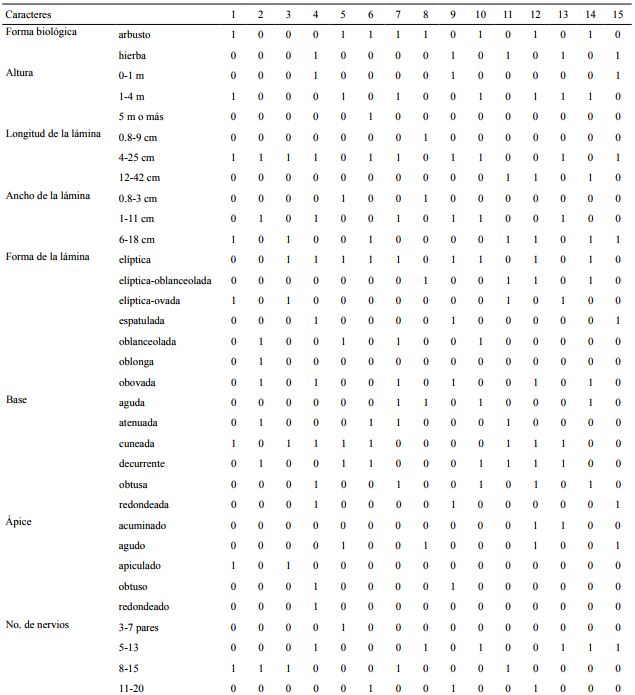 Matriz de datos morfol&oacute;gicos de las especies del g&eacute;nero Hoffmannia Sw. presentes en Veracruz, donde 0=ausencia, 1=presencia. En las columnas se consider&oacute; conveniente sustituir el nombre de las especies por un n&uacute;mero progresivo: 1=H. arqueonervosa Cast.-Campos, 2=H. conzattii B.L. Rob, 3=H. cuneatissima B.L. Rob, 4=H. discolor (Lem.) Hemsl., 5=H. excelsa (Kunth) K. Schum, 6=H. minuticarpa Dwyer & Lorence, 7=H. nicotianifolia (M. Martens & Galeottii) L.O. Williams, 8=H. orizabensis Standl., 9=H. phoenicopoda K. Schum., 10=H. psychotrifolia (Benth.) Griseb., 11=H. rhizantha Stndl., 12=H. regalis (Hook.) Hemsl., 13=H. uxpanapense Cast.-Campos y Bautista-Bello, 14=H. wilsonii Standl., 15=H. rzedowskiana Cast.-Campos y Bautista-Bello & Lorence.