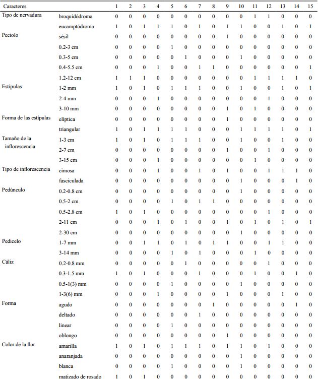 Matriz de datos morfol&oacute;gicos de las especies del g&eacute;nero Hoffmannia Sw. presentes en Veracruz, donde 0=ausencia, 1=presencia. En las columnas se consider&oacute; conveniente sustituir el nombre de las especies por un n&uacute;mero progresivo: 1=H. arqueonervosa Cast.-Campos, 2=H. conzattii B.L. Rob, 3=H. cuneatissima B.L. Rob, 4=H. discolor (Lem.) Hemsl., 5=H. excelsa (Kunth) K. Schum, 6=H. minuticarpa Dwyer & Lorence, 7=H. nicotianifolia (M. Martens & Galeottii) L.O. Williams, 8=H. orizabensis Standl., 9=H. phoenicopoda K. Schum., 10=H. psychotrifolia (Benth.) Griseb., 11=H. rhizantha Stndl., 12=H. regalis (Hook.) Hemsl., 13=H. uxpanapense Cast.-Campos y Bautista-Bello, 14=H. wilsonii Standl., 15=H. rzedowskiana Cast.-Campos y Bautista-Bello & Lorence.