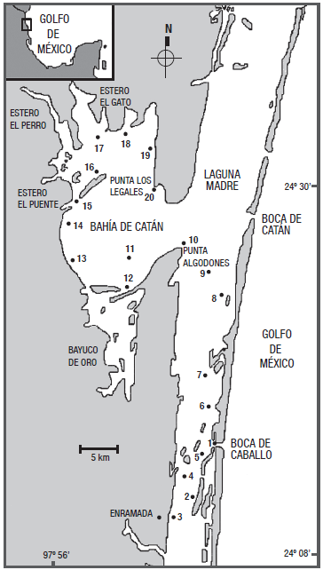 &Aacute;rea de estudio y ubicaci&oacute;n de estaciones de muestreo en la Laguna Madre, Tamaulipas (1997-1998).