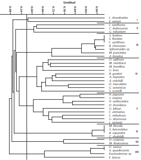 Dendrograma de similitud de especies a partir de la abundancia de larvas de peces (no. de organismos/100 m3), definido por el &iacute;ndice de Disimilitud de Bray-Curtis. Laguna Madre, Tamaulipas.