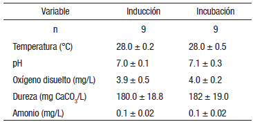 Valores de los par&aacute;metros fisicoqu&iacute;micos (temperatura, pH, dureza y amonio) medidos durante la inducci&oacute;n de los reproductores y la incubaci&oacute;n de los huevos de bocachico (Prochilodus magdalenae; valor promedio &plusmn; d.e).