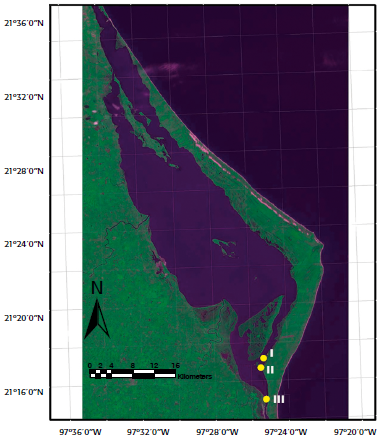 Ubicaci&oacute;n de la laguna de Tamiahua, Veracruz, M&eacute;xico.