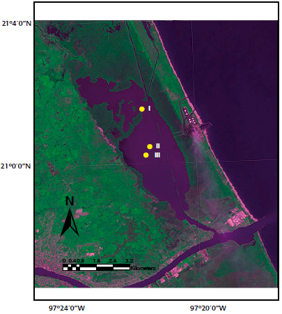 Ubicaci&oacute;n de la laguna de Tampamachoco, Veracruz, M&eacute;xico.