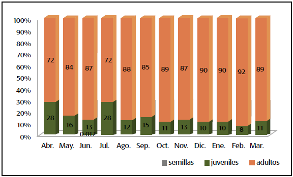 Distribuci&oacute;n de estadios de C. virginica  en la laguna de Tamiahua, Veracruz, M&eacute;xico en el periodo abril 2011-marzo 2012.