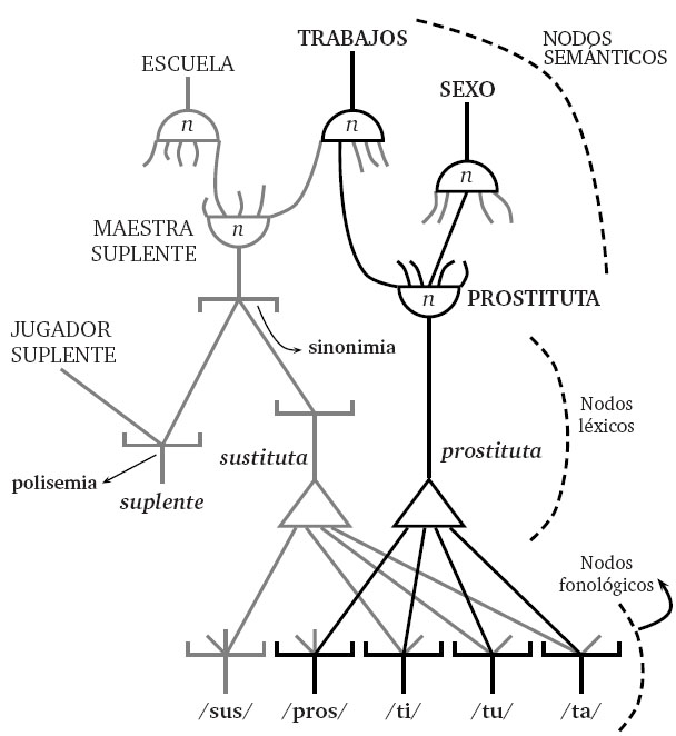 Estructura del sistema lingüístico del hablante que hace posible la emisión de prostituta en lugar de sustituta.