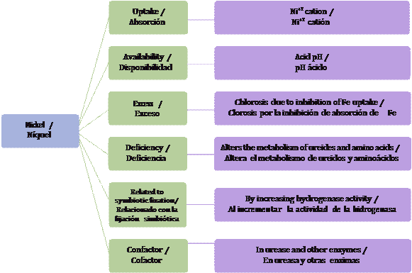General aspects of nickel as a micronutrient (Wood et al., 2004a, 2004b, 2004c).