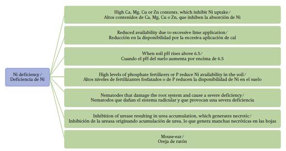 Nickel deficiency symptoms (Wood et al., 2004a, 2004b, 2004c).