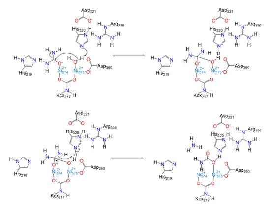 Reaction of nickel with water at atomic level (Zambelli et al., 2014).