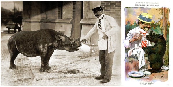 Izquierda: Clemente Onelli alimentando a un rinoceronte beb&eacute;. Equipo de fot&oacute;grafos de Caras y Caretas, ca. 1908, AGN. Derecha: Clemente Onelli. Caricatura de Cao publicada en Caras y Caretas (529, 21 nov. 1908)