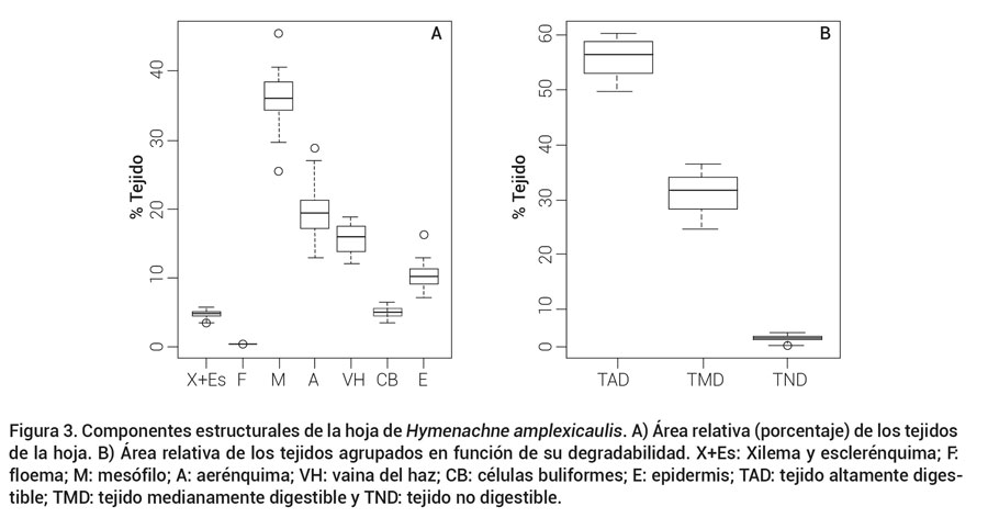 Figura 3. Componentes estructurales de la hoja de Hymenachne amplexicaulis. A) &Aacute;rea relativa (porcentaje) de los tejidos de la hoja. B) &Aacute;rea relativa de los tejidos agrupados en funci&oacute;n de su degradabilidad. X+Es: Xilema y escler&eacute;nquima; F: floema; M: mes&oacute;filo; A: aer&eacute;nquima; VH: vaina del haz; CB: c&eacute;lulas buliformes; E: epidermis; TAD: tejido altamente digestible;TMD: tejido medianamente digestible y TND: tejido no digestible.