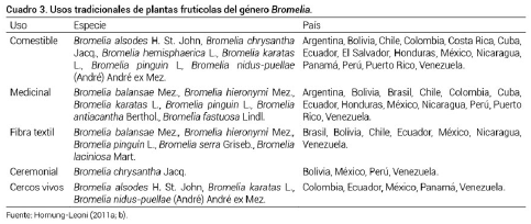 Usos tradicionales de plantas frutícolas del género Bromelia