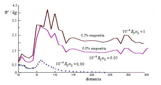 Las curvas tienen
como par&aacute;metro el campo magn&eacute;tico multiplicado por la frecuencia angular con
protecci&oacute;n metamaterial que reduce el SAR en
aproximadamente el 50% si se compara con la figura 3. El modelo cerebral se
discute en [8, 9] y las propiedades de un metamaterial
se describe en [11], [12], [13], [14].
