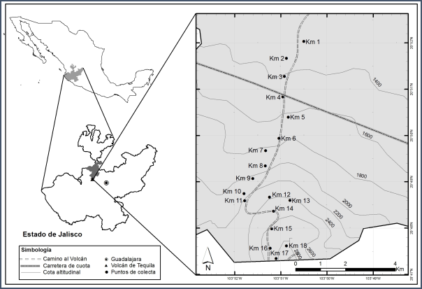 Ubicación geográfica del área de estudio.