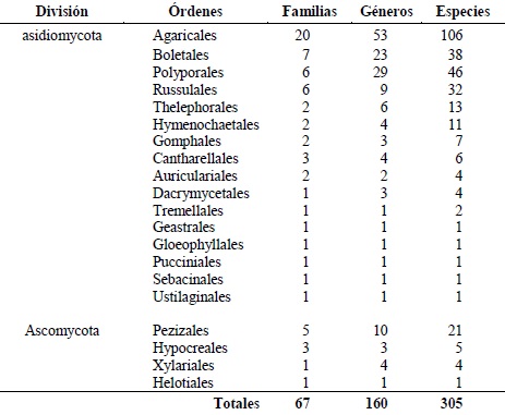 Riqueza de grupos taxonómicos registrados para la micobiota del volcán de Tequila.