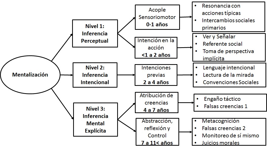 Esquema sobre niveles de las habilidades
relacionadas con la mentalización