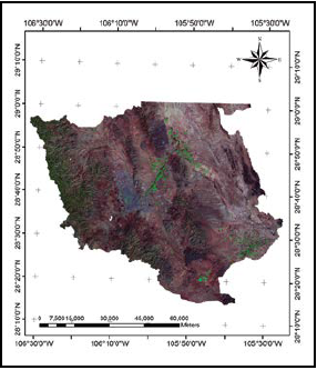Condiciones de uso de suelo y vegetación con ligeros cambios espaciales en el año 2010.