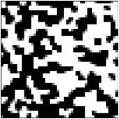 Estado
final de una red de 50 x 50 con estado inicial
de 10% de spines +1 (negros), 10% de spines
–1 (blancos) y 80% nodos inactivos (grises).