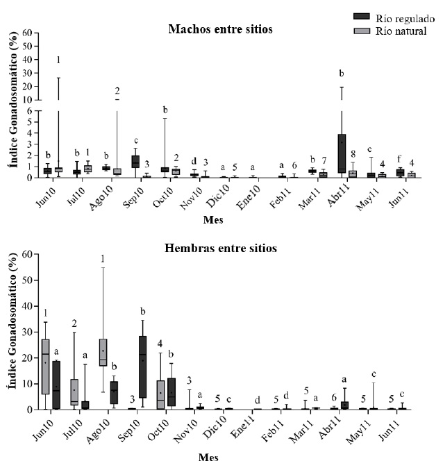 Valor medio y
desviación estándar del índice gonadosomático por sitios de muestreo,
mes y sexo para Prochilodus magdalenae de un río natural y regulado en
la cuenca del Magdalena. Letras iguales significan igual valor de la media.