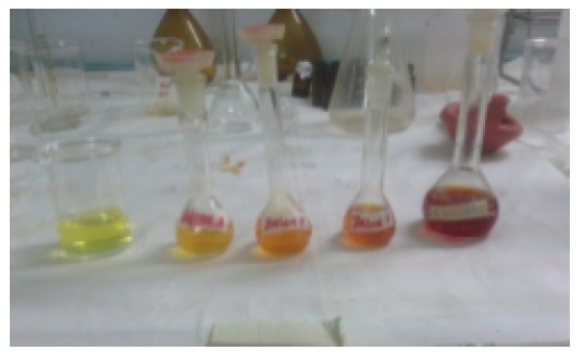 De derecha a izquierda soluci&oacute;n madre,
soluci&oacute;n 1, soluci&oacute;n 2, soluci&oacute;n 3 y soluci&oacute;n 4