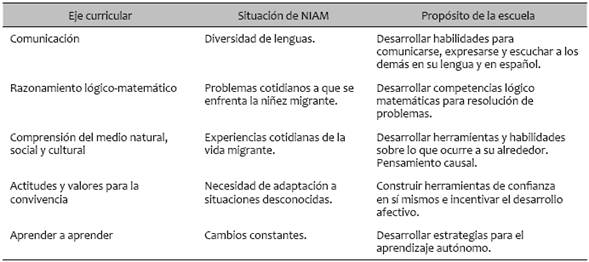 Ejes curriculares del MEIPIM