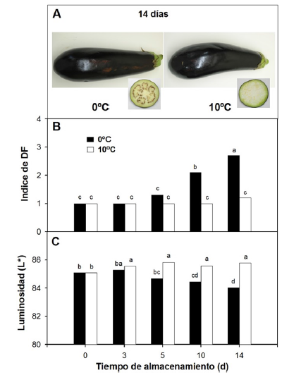 A) Apariencia, B) índice de daño por frío (DF) y
C) luminosidad en berenjenas cv. Lucía, almacenadas a 0 °C o 10 °C por 14 d.