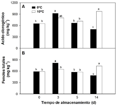 A) Contenido de ácido clorogénico y B) contenido de fenoles
totales en berenjenas cv. Lucía, almacenadas a 0 °C o 10 °C por 14 d.