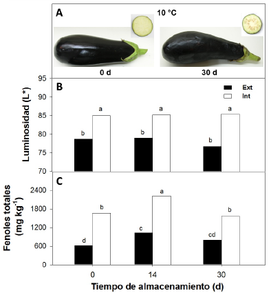 A) Apariencia, B) luminosidad
y C) contenido de fenoles totales en la zona interna (Int) y externa (Ext) de
rodajas de berenjenas cv. Lucía, almacenadas a 10 °C por 30 d.