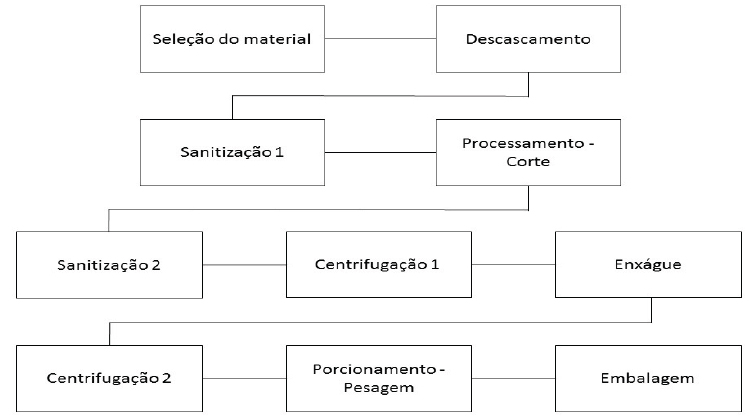 Fluxograma de preparo de beterraba minimamente processada (adaptado de
Vitti, 2003)