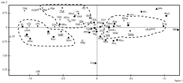 Primer plano factorial del ACM.