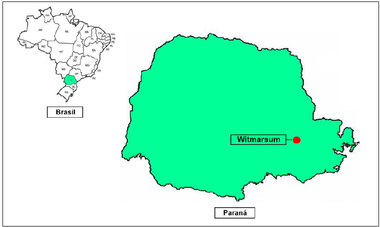 Localização da Comunidade Menonita de Witmarsum no Paraná e no Brasil
