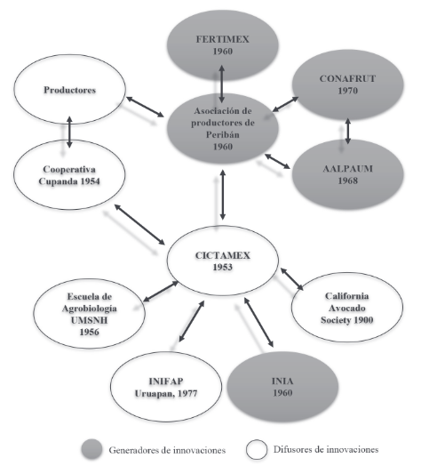 Primera etapa: principales nodos y formación del ssi del aguacate en Michoacán